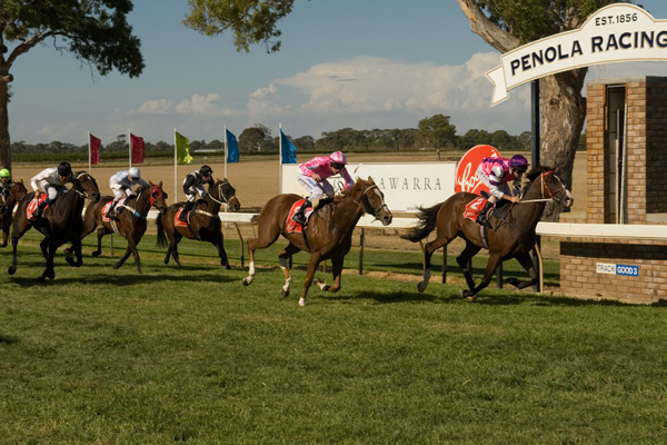 BELLA’S BRO WINS PENOLA CUP..